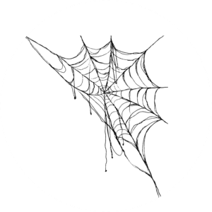 Organising Students - BLOG - Essays: It’s all in the planning - image of a bedraggled spider’s web