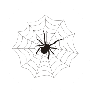 Organising Students Blog - Essays: It’s all in the planning - image of a well formed spider web