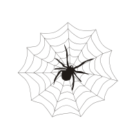 Organising Students Blog - image of a well formed spider web